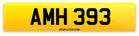 AMH 393