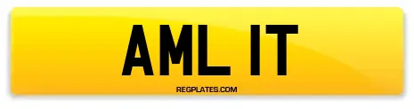 AML 1T