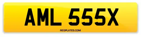 AML 555X