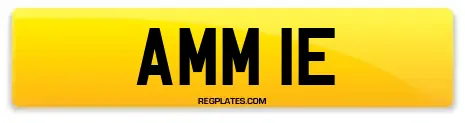 AMM 1E