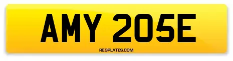 AMY 205E