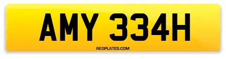 AMY 334H
