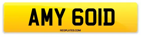 AMY 601D