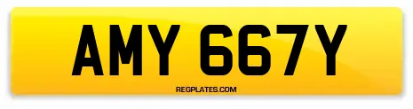 AMY 667Y