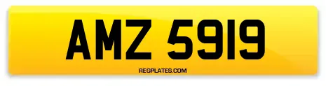 AMZ 5919