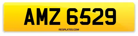 AMZ 6529