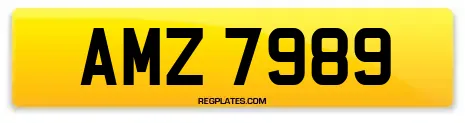 AMZ 7989