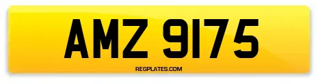 AMZ 9175