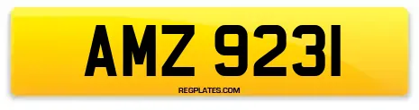 AMZ 9231