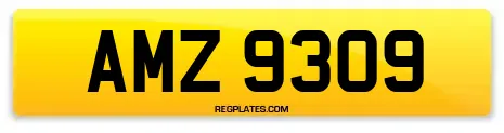AMZ 9309