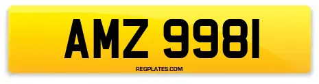 AMZ 9981