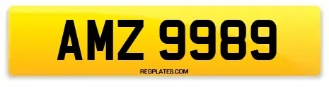 AMZ 9989