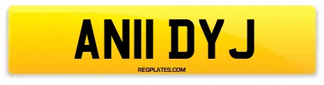 AN11 DYJ