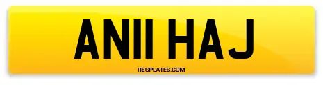 AN11 HAJ