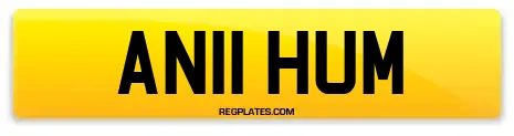 AN11 HUM