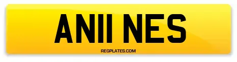 AN11 NES