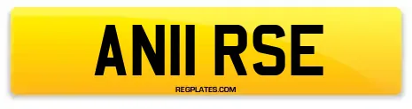 AN11 RSE