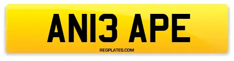 AN13 APE