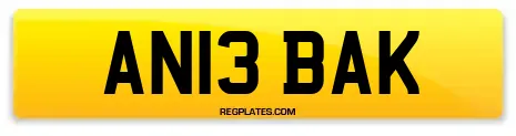 AN13 BAK