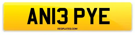 AN13 PYE