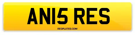 AN15 RES