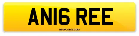 AN16 REE