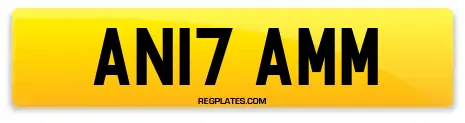 AN17 AMM