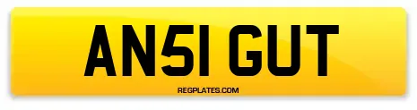AN51 GUT