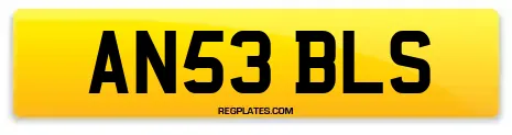 AN53 BLS
