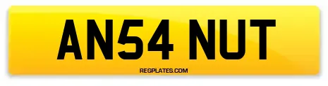 AN54 NUT