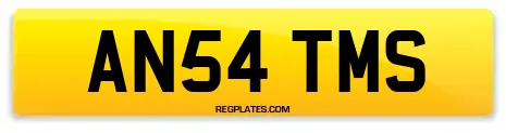 AN54 TMS