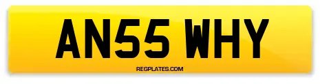 AN55 WHY