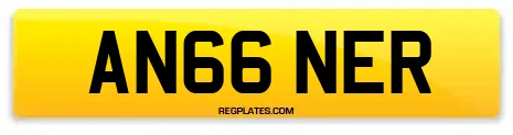 AN66 NER
