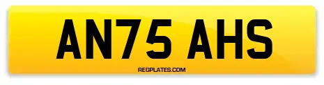 AN75 AHS