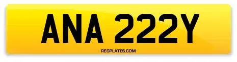 ANA 222Y