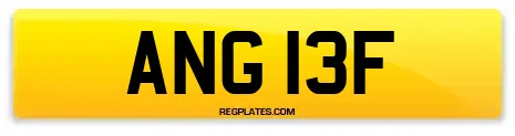 ANG 13F