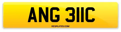 ANG 311C