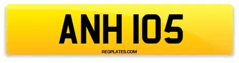 ANH 105