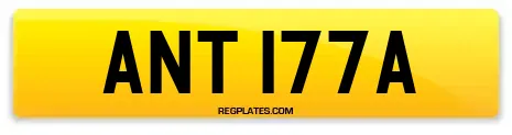 ANT 177A