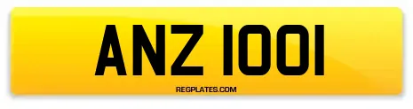ANZ 1001