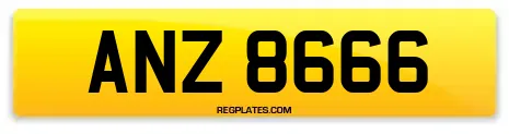ANZ 8666
