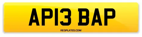 AP13 BAP