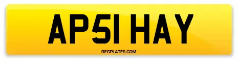 AP51 HAY