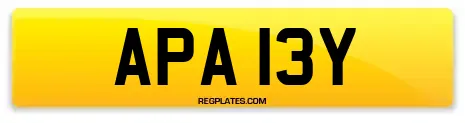 APA 13Y