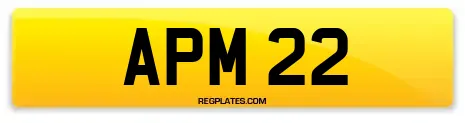 APM 22