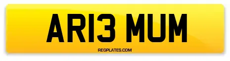 AR13 MUM