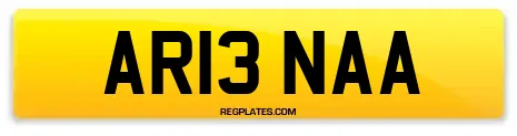 AR13 NAA