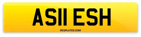 AS11 ESH
