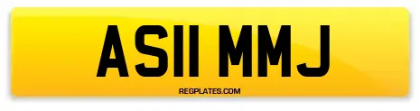 AS11 MMJ