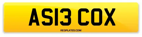AS13 COX